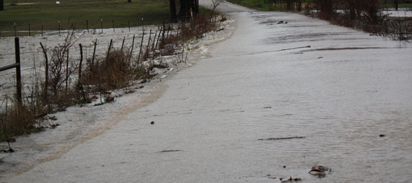 DST Road Flood