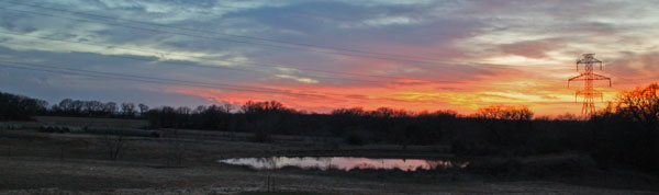 DST View
