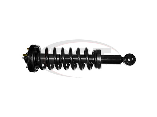 Front Suspension Strut and Coil Spring Assembly