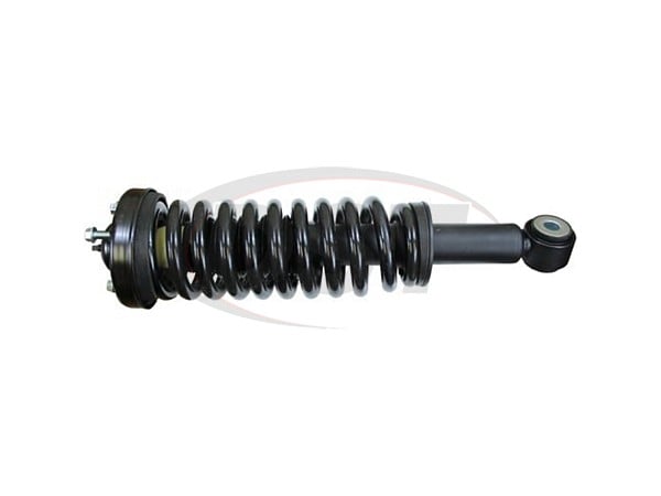Front Strut and Coil Spring Assembly - ROADMATIC STRUT ASSEMBLY