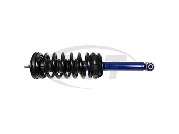 Rear Strut and Coil Spring Assembly - RoadMatic