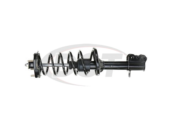 REAR Left Strut and Coil Spring Assembly - ROADMATIC