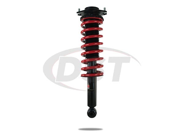 Rear Coil Spring and Strut Assembly