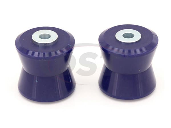 Rear Lower Trailing Arm Bushings
