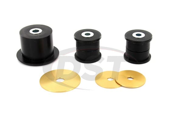 Rear Differential Mount Bushings
