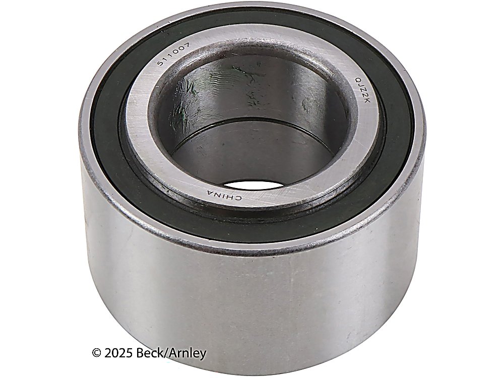 Rear Wheel Bearings