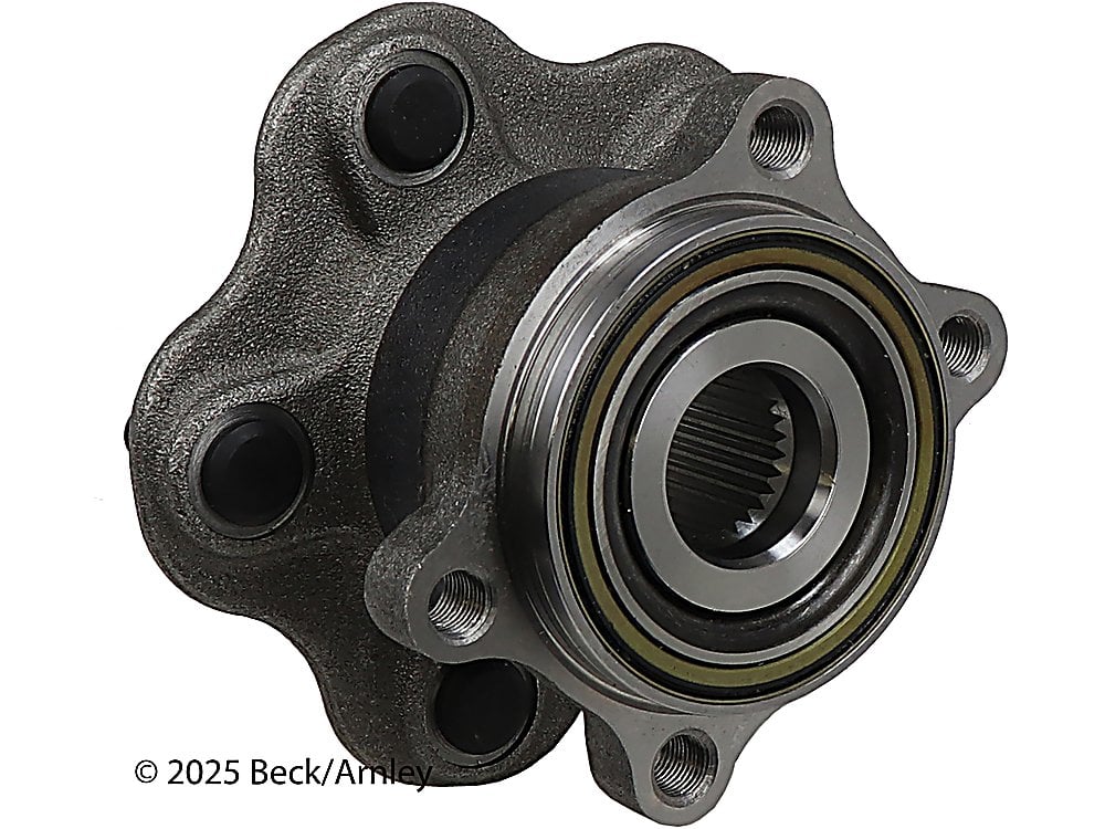 Rear Wheel Bearing and Hub Assembly