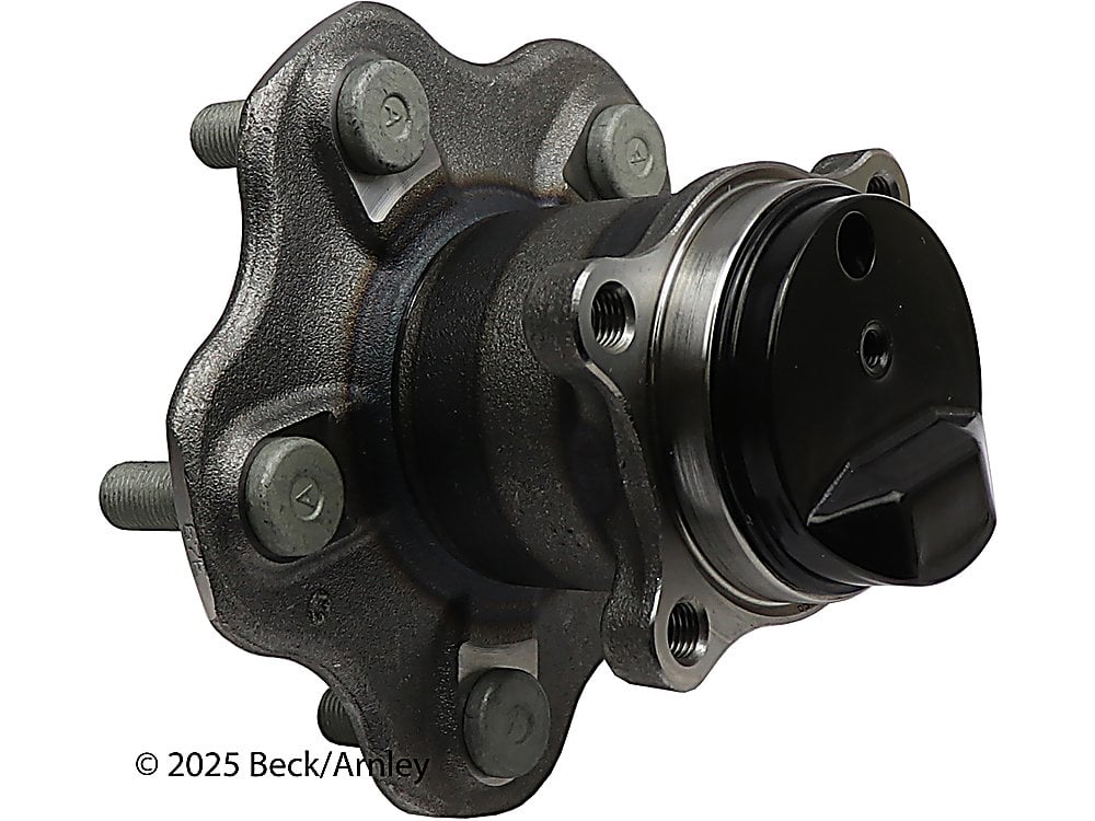 Rear Wheel Bearing and Hub Assembly